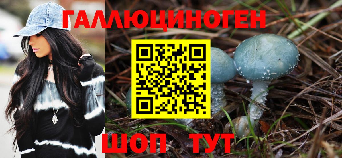 Камышлов  Галлюциногенные грибы Psilocybe  Вход с VPN  Псилоцибиновые грибы мухоморы 